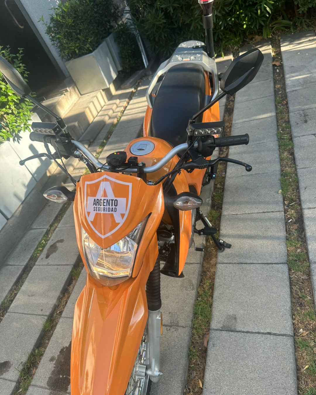 BRANDING VEHICULAR 3