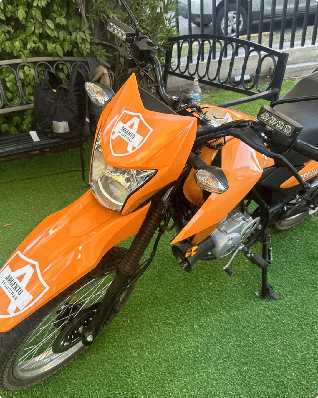 BRANDING VEHICULAR 6